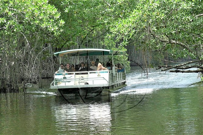 Black-River-Safari-St.-Elizabeth-Jamaica.jpg