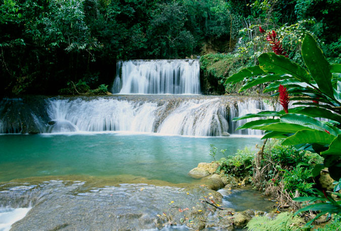 YS-Falls-St.-Elizabeth-Jamaica.jpg